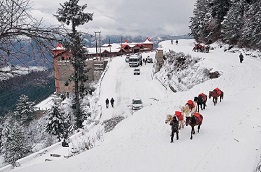 Delhi to Shimla 3-day round trip cab booking by TaxiBazaar
